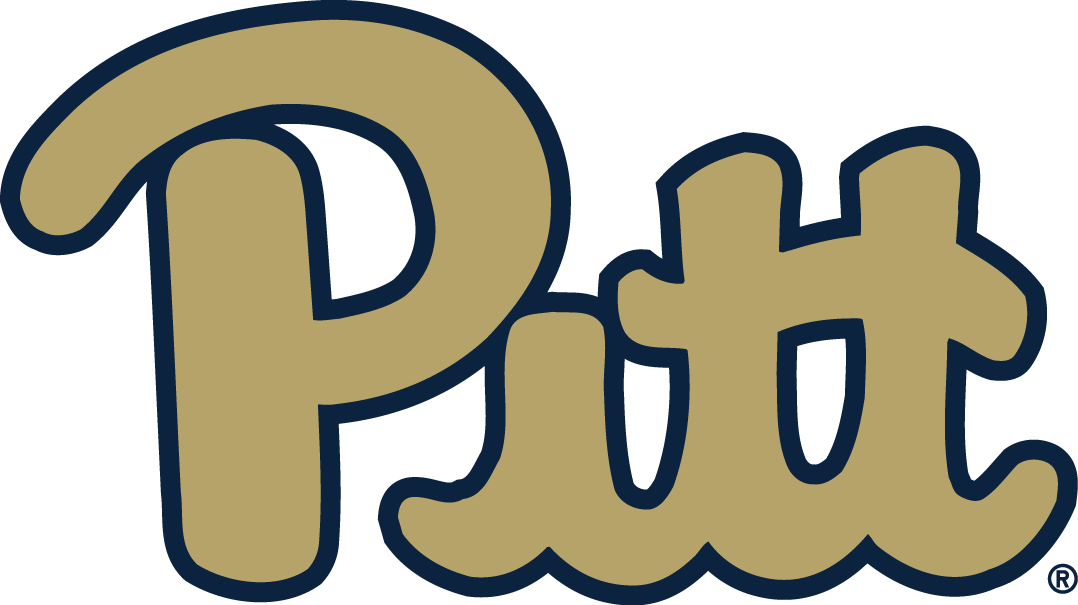 Pittsburgh Panthers 2016-2018 Alternate Logo diy iron on heat transfer